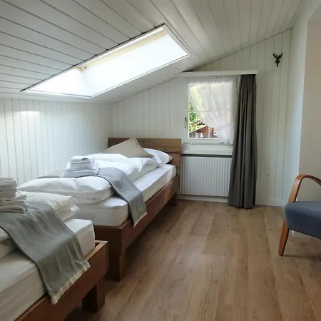 Bären 2* Guttannen