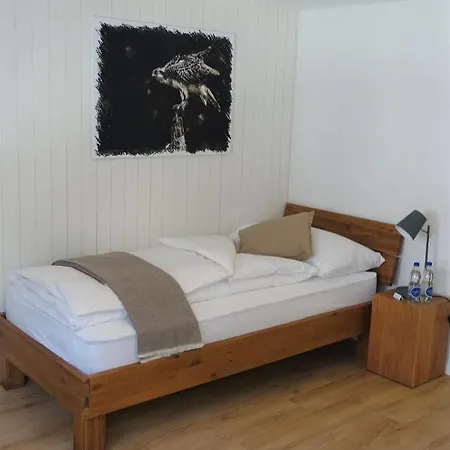 Baeren Inn Guttannen