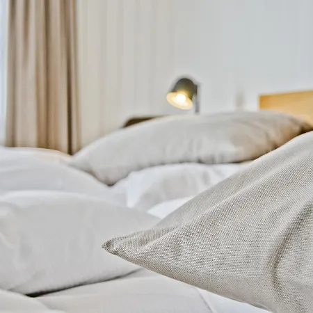 Baeren Inn Guttannen